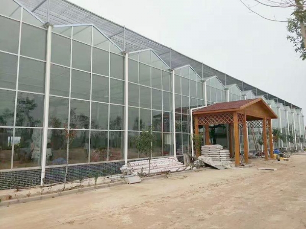 江西省贛州贛縣江口鎮(zhèn)，全玻璃溫室